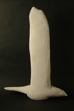 Bird III